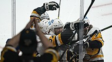 Radim Zohorna v klubku gólové radosti hokejist Pittsburghu.