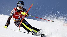 Atle Lie Mcgrath ve slalomu pi finále Svtového poháru.