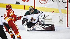 Gólman Arizony Karel Vejmelka neml nárok, Johnny Gaudreau z Calgary míil...