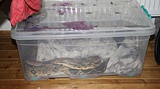 Toxi tým zadr�el dealera drog z Plzn�. Pervitin schovával v krabici s �ivým...