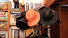 Jana Koubková je � vedle báje�ného zp�vu � proslulá i svou zálibou v...