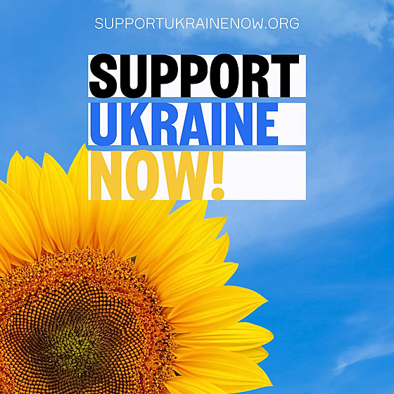 Logo platformy Support Ukraine Now si zvolili jako symbol slunenici. Jde o...