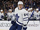 David Kämpf (64) z Toronto Maple Leafs se raduje z gólu v zápase s Boston...