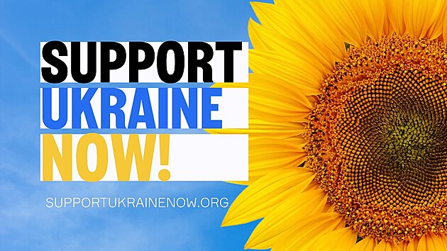 Logo platformy Support Ukraine Now si zvolili jako symbol slunenici. Jde o nrodn kvtinu.