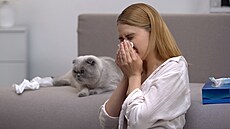 Alergie na kočičí chlupy nebo sliny umí hodně znepříjemnit soužití s kočičím...
