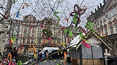 Rozkvetlá bříza na Staroměstském náměstí v Praze. (31. března 2022)