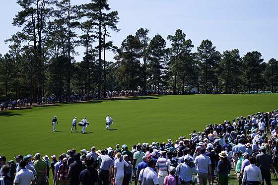 Tiger Woods a dav fanouk bhem tréninku v August.