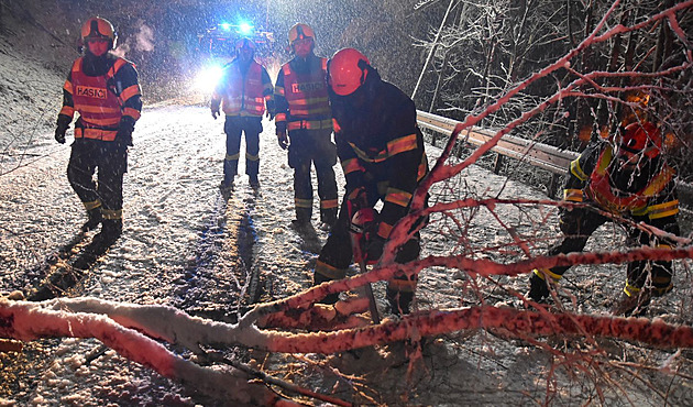Těžký sníh na západě Čech v noci lámal stromy, bez proudu je 2 800 domácností