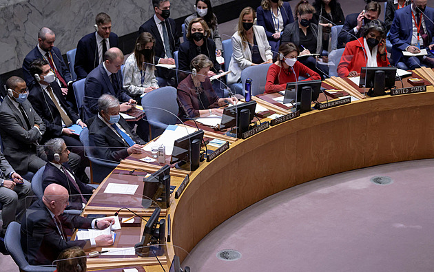 Potrestejte Rusko, nebo se rozpusťte, řekl Zelenskyj Radě bezpečnosti OSN