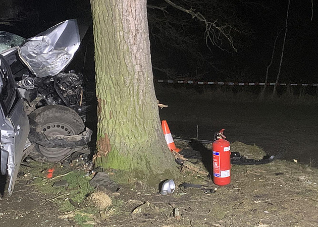 Při nehodě na Jindřichohradecku zemřeli tři muži, auto narazilo do stromu
