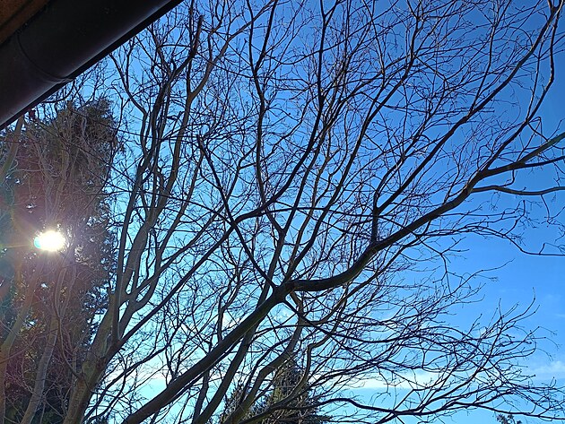 Fotografie po��zen� smartphonem Realme 9 Pro+