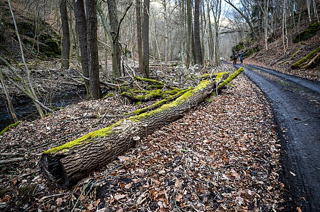 Prohlídka pírodních oblastí, kde by brzy mohl vzniknout nový národní park...