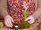Jak vyrobíte kokedamu s hyacintem? Cibuli hyacintu posadíte doprosted vtího...