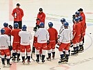 Kouové a hrái eské hokejové reprezentace se radí bhem tréninku.