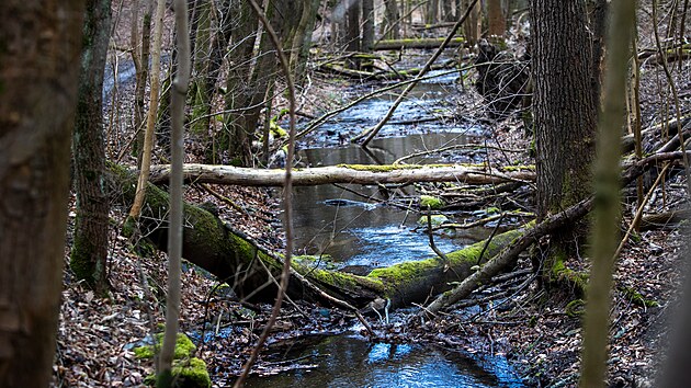 Prohldka prodnch oblast, kde by brzy mohl vzniknout nov nrodn park Kivokltsko. Na snmku nynj Nrodn prodn rezervace  Vznice.