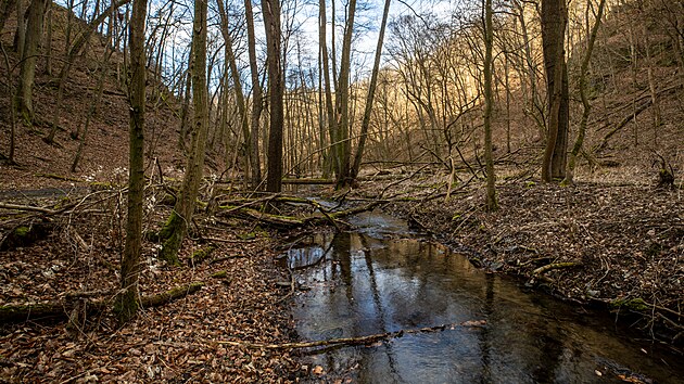 Prohldka prodnch oblast, kde by brzy mohl vzniknout nov nrodn park Kivokltsko. Na snmku nynj Nrodn prodn rezervace  Vznice.