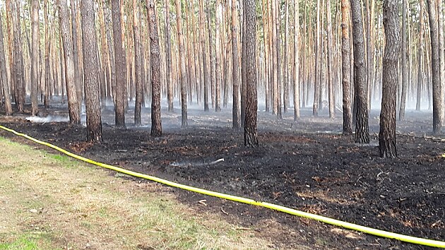 Téměř dvanáct hodin likvidovali hasiči na konci března požár u Vracova na Hodonínsku založený žhářem. Ten byl na místě dopaden.