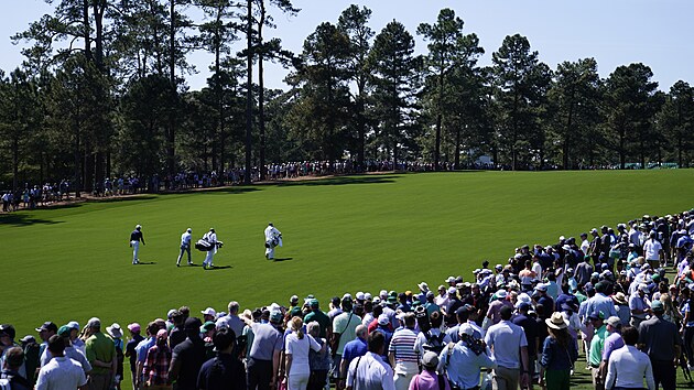 Tiger Woods a dav fanouk bhem trninku v August.