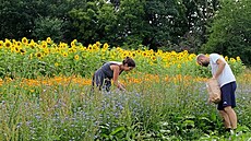 Zemdlec David Jeek hospodaí ekologicky na 2,5 hektaru pdy a pomáhají mu...