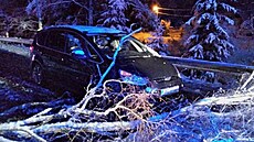 Tký sníh v Karlovarském kraji lámal stromy. (9. dubna 2022)