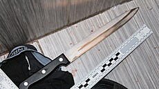 Vra�ední zbra�. Cizinec ubodal svého krajana v Hradci Králové kuchy�ským no�em....