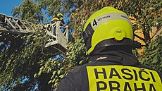 Pražští hasiči zasahovali kvůli silnému větru ve dvanácti případech, jednalo se... | na serveru Lidovky.cz | aktuální zprávy