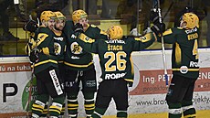 Gólová radost hokejist� Vsetína.