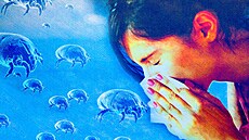 Ilustra�ní fotografie