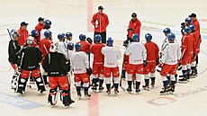 Kouové a hrái eské hokejové reprezentace se radí bhem tréninku.