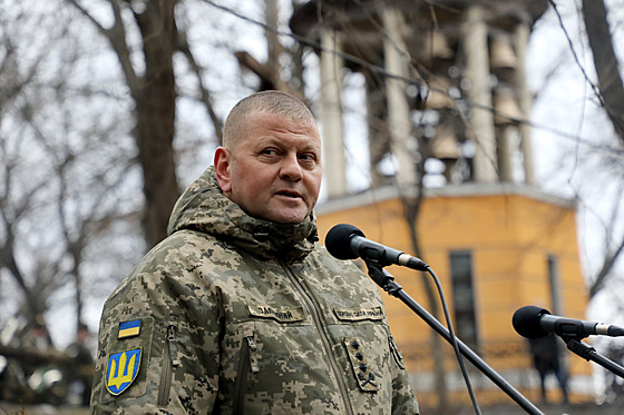 Vrchní velitel ukrajinských ozbrojených sil Valerij Zalunyj