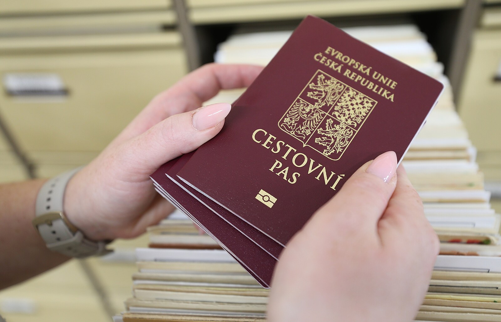 Digitalizace pasů a víz přinesla místo pomoci duplicitní práci, zjistil NKÚ