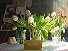 Výstava tulipán na buchlovickém zámku. (duben 2022)