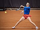 eská tenistka Markéta Vondrouová se opírá do úderu v kvalifikaním utkání...
