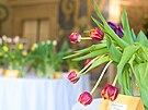 Na zámku v Buchlovicích bude k vidní na dva tisíce kvt tulipán (duben 2022)