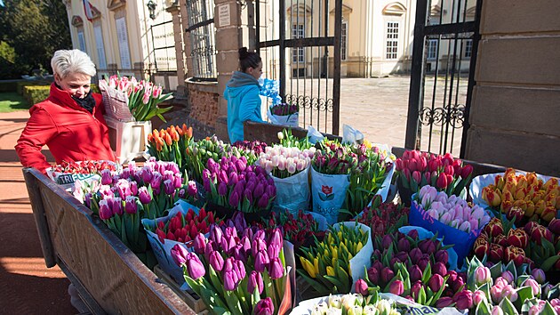 V�stava tulip�n� na buchlovick�m z�mku. (duben 2022)