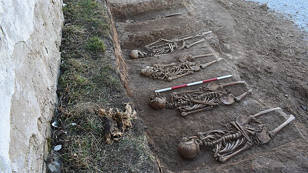 Archeologov objevili v Teboni celkem 27 tl, kter byla umstna ve dvou adch. Nkter novj hroby zrove pekrvaly ty star.