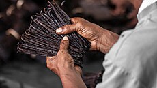 Mezi hlavní vývozce vanilky patí práv Madagaskar.