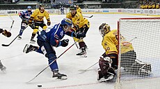 1. zápas baráe o hokejovou extraligu, Kladno - Jihlava. Branká Dukly Maxim...