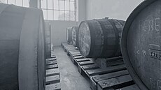 Pivo sice v sudech le�í, ale rozhodn� nespí!