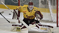 Jihlavský branká� Maxim �ukov.