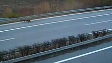 Po dálnici D11 pobíhali dva psi, jejich majiteli hrozí pokuta