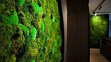 Mechové obrazy slu�í ka�dému interiéru