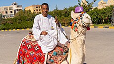 Arabský mu sedící na bílém velbloudovi v turistické oblasti Blízkého východu...