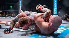 Slovenský MMA zápasník Tomá� Meli� nasadil páku na ruku �echovi Václavu...