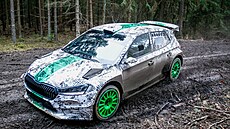 Rallye jezdec Kris Meeke testoval u Bene�ova nad �ernou nový závodní speciál...