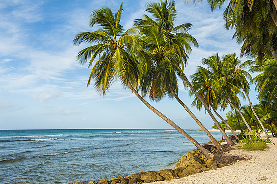 Barbados je nejvýchodnější ostrov na východní hranici Karibiku.