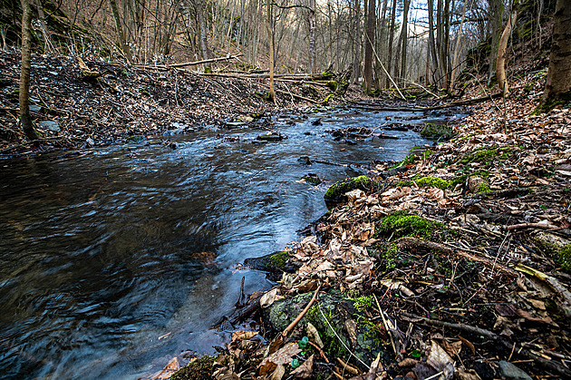 KOMENTÁŘ: Nechtěný národní park. Proč Křivoklátsko, a ne třeba Adršpašské skály?