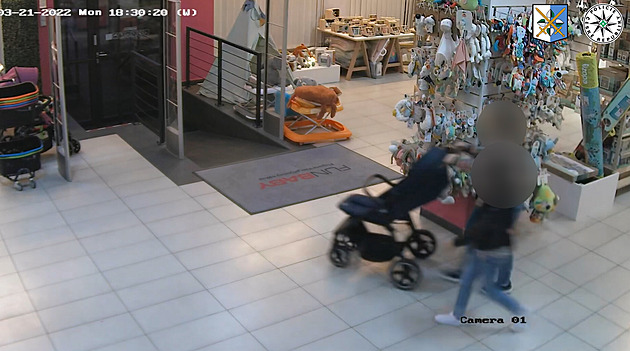 Žena s malým dítětem zabavila prodavačku, dívky v obchodě ukradly kočárek
