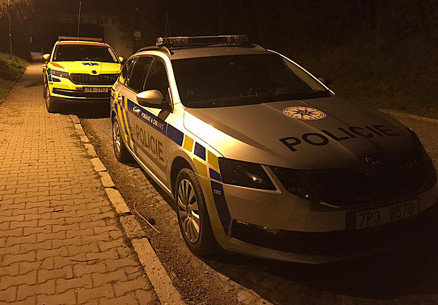Policisté na severním Plzeňsku zasahovali u pokusu o vraždu a sebevraždu. (29....