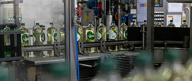 Kofola má latinskoamerickou spojku, gigant kupuje kávové plantáže v Kolumbii